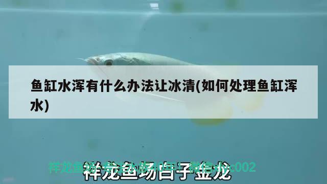 魚(yú)缸長(zhǎng)80cm寬30高50（魚(yú)缸5塊玻璃尺寸） 暹羅巨鯉 第1張