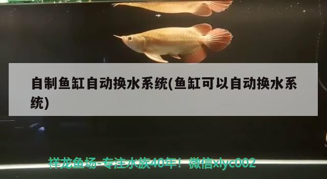 自制魚(yú)缸自動(dòng)換水系統(tǒng)(魚(yú)缸可以自動(dòng)換水系統(tǒng))