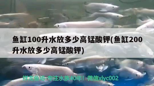 魚缸放什么水晶石(魚缸放水晶有何講究) 慈雕魚 第1張