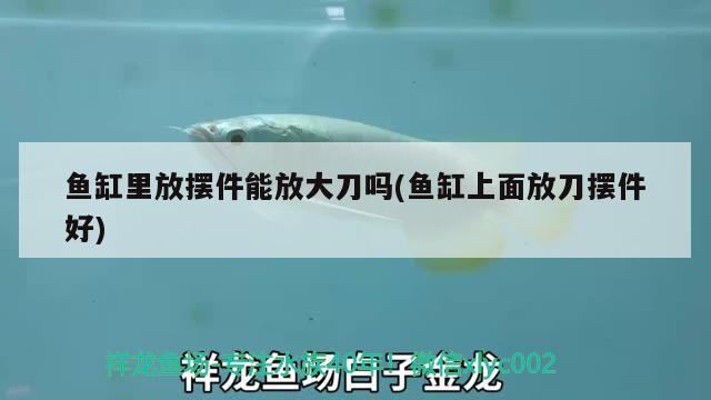 魚缸里放擺件能放大刀嗎(魚缸上面放刀擺件好) 溫控設(shè)備