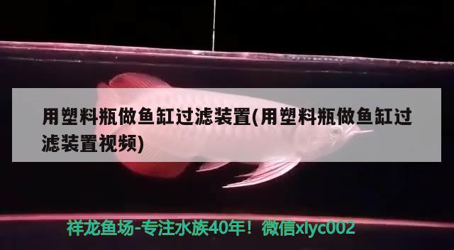 用塑料瓶做魚缸過濾裝置(用塑料瓶做魚缸過濾裝置視頻) 帝王血鉆