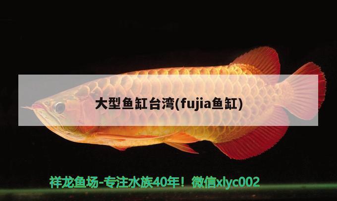 大型魚缸臺灣(fujia魚缸) 廣州祥龍國際水族貿(mào)易