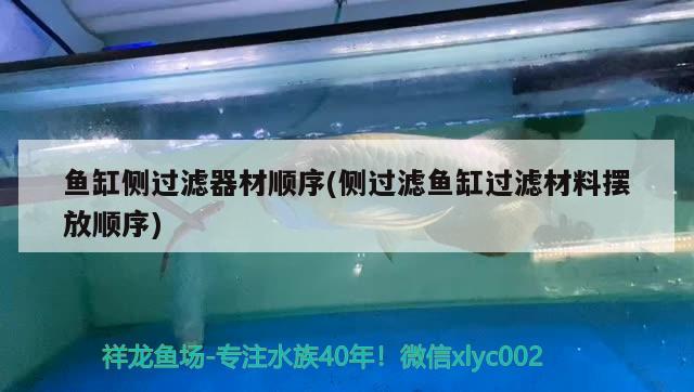 魚缸側(cè)過濾器材順序(側(cè)過濾魚缸過濾材料擺放順序) 女王大帆魚苗