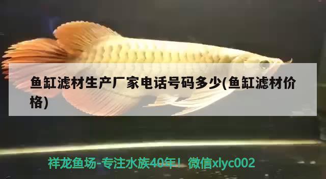 魚(yú)缸濾材生產(chǎn)廠(chǎng)家電話(huà)號(hào)碼多少(魚(yú)缸濾材價(jià)格)