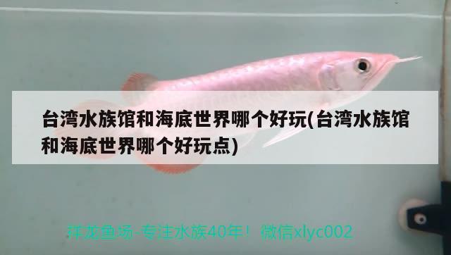 羅漢魚浮在水面測游，羅漢魚多大算是成魚 羅漢魚 第1張