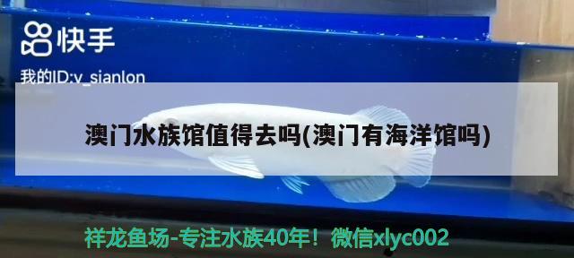 濟(jì)寧高新區(qū)魚(yú)水情水族用品銷(xiāo)售店 全國(guó)水族館企業(yè)名錄 第3張