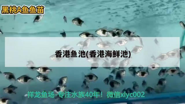 西寧魚缸批發(fā)市場在哪里進貨便宜又好 西寧魚缸廠 龍魚百科