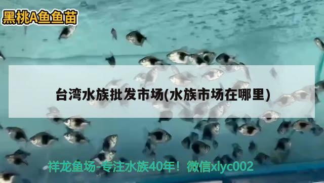 熱帶魚(yú)缸養(yǎng)什么水草最好養(yǎng)：熱帶魚(yú)魚(yú)缸放什么水草好 水草 第1張