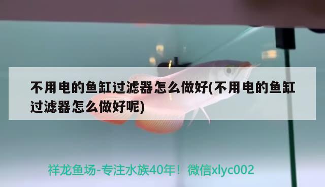 不用電的魚缸過濾器怎么做好(不用電的魚缸過濾器怎么做好呢) 祥龍龍魚專用水族燈