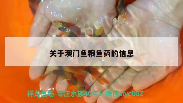 關于澳門魚糧魚藥的信息 魚糧魚藥