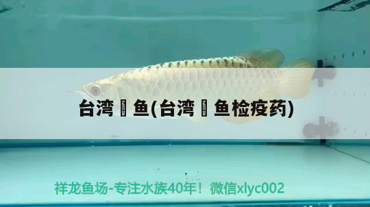 臺(tái)灣魟魚(臺(tái)灣魟魚檢疫藥) 廣州祥龍國(guó)際水族貿(mào)易