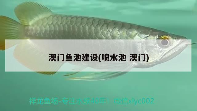 澳門魚池建設(shè)(噴水池澳門) 廣州祥龍國(guó)際水族貿(mào)易