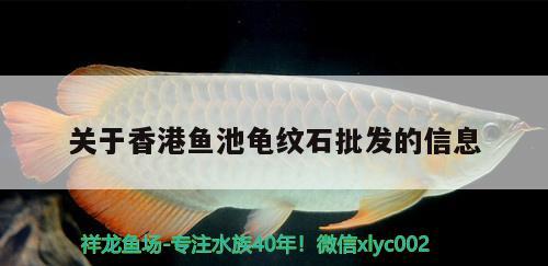 關(guān)于香港魚(yú)池龜紋石批發(fā)的信息