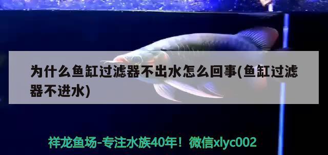 肇慶水族館四噸半水兩公四母