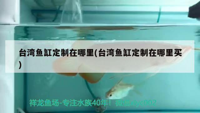 臺灣魚缸定制在哪里(臺灣魚缸定制在哪里買) 廣州祥龍國際水族貿(mào)易