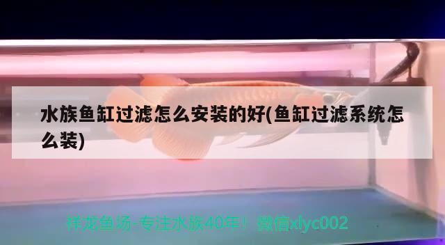 e-fish智能魚(yú)缸研究?jī)?nèi)容fish智能魚(yú)缸研究?jī)?nèi)容解釋?zhuān)琫-fish智能魚(yú)缸