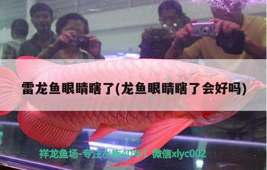 雷龍魚眼睛瞎了(龍魚眼睛瞎了會好嗎) 南美異型魚