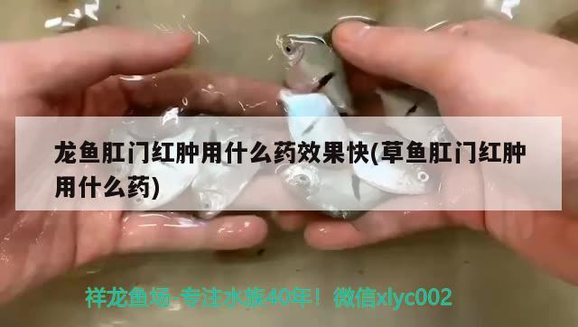 有什么游戲,很好玩，方舟mod滅絕粒子金剛怎么打