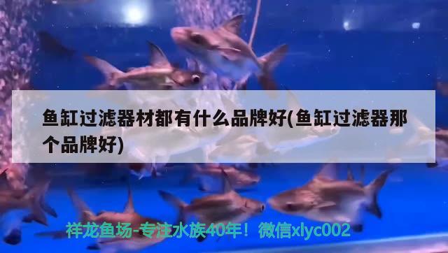 太原魚缸清洗服務(wù)電話是多少呀（太原上門修魚缸電話）