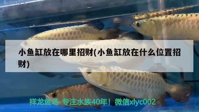 30魚缸多久換一次水，夏天魚缸多久換一次水