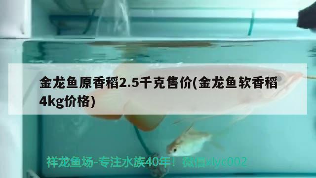 金龍魚原香稻2.5千克售價(金龍魚軟香稻4kg價格) 元寶鳳凰魚