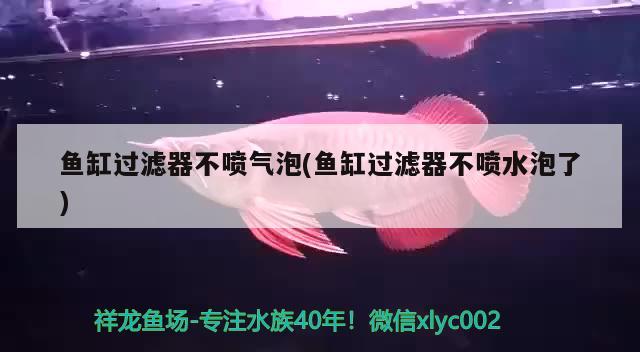 魚缸過濾器不噴氣泡(魚缸過濾器不噴水泡了) 帝王血鉆魚