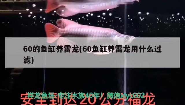 淮安哪里有水族館?（淮安東海龍宮水族館） 觀(guān)賞魚(yú)水族批發(fā)市場(chǎng) 第1張