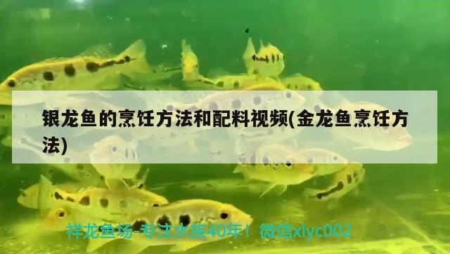 銀龍魚的烹飪方法和配料視頻(金龍魚烹飪方法) 銀龍魚百科