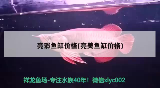 亮彩魚缸價格(亮美魚缸價格)