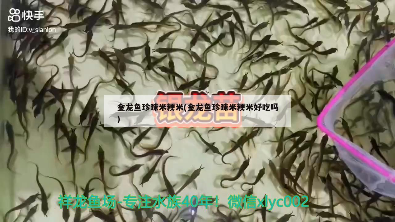 金龍魚珍珠米粳米(金龍魚珍珠米粳米好吃嗎) 羽毛刀魚苗