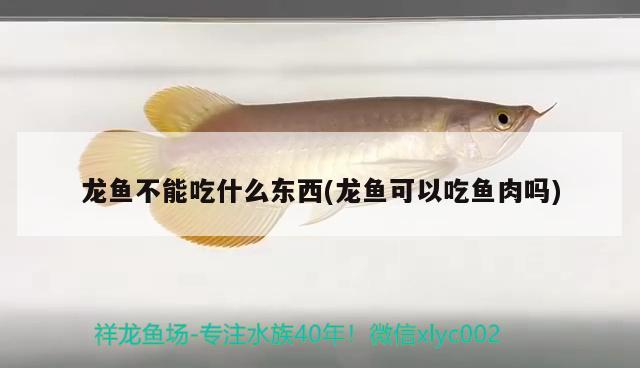 黃島開發(fā)區(qū)哪里有賣魚缸的地方？詳細描述魚缸種類，在黃島開發(fā)區(qū)哪里有賣魚缸的地方