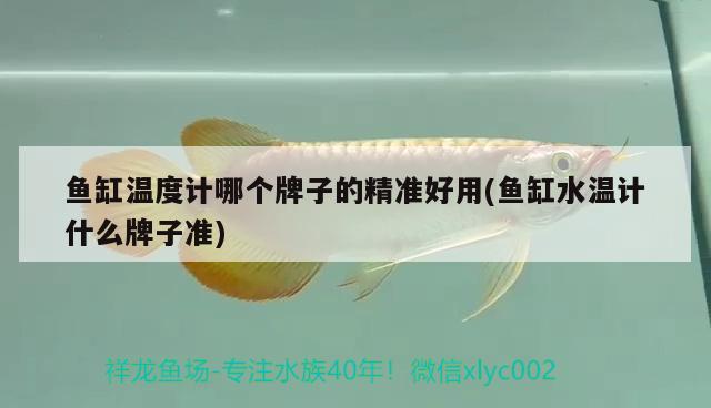 魚缸溫度計(jì)哪個(gè)牌子的精準(zhǔn)好用(魚缸水溫計(jì)什么牌子準(zhǔn)) 水溫計(jì)