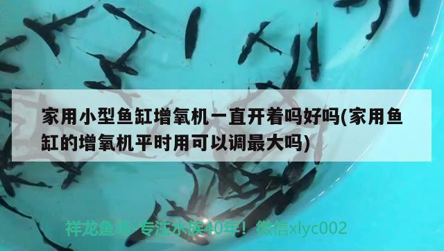 家用小型魚缸增氧機一直開著嗎好嗎(家用魚缸的增氧機平時用可以調(diào)最大嗎)