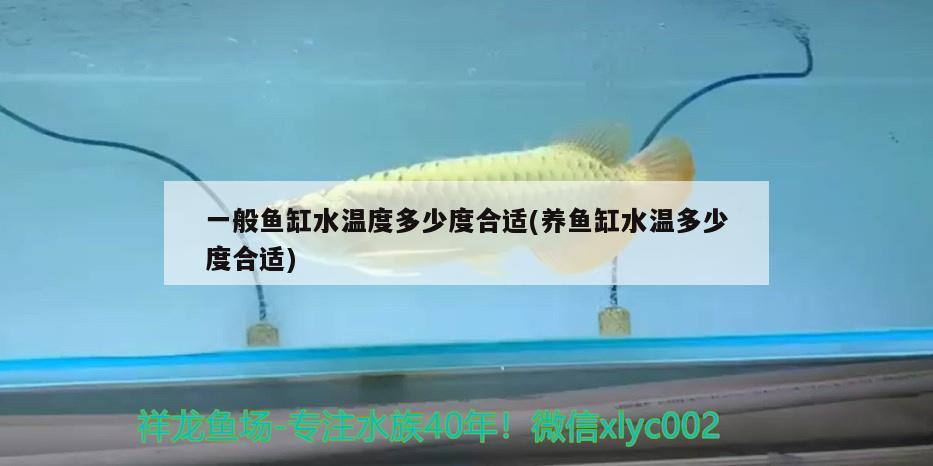 一般魚缸水溫度多少度合適(養(yǎng)魚缸水溫多少度合適)