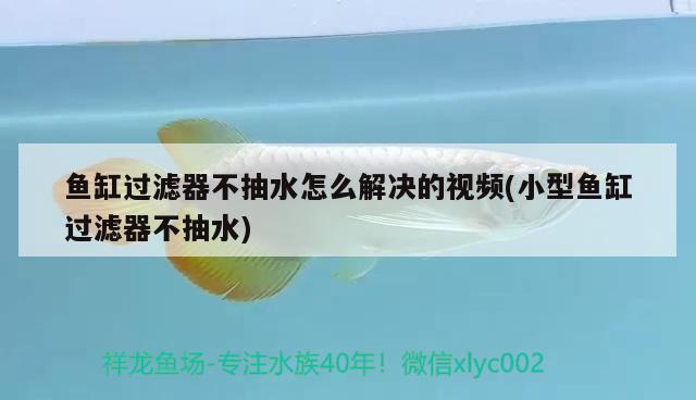 魚(yú)缸過(guò)濾器不抽水怎么解決的視頻(小型魚(yú)缸過(guò)濾器不抽水) 委內(nèi)瑞拉奧里諾三間魚(yú)苗