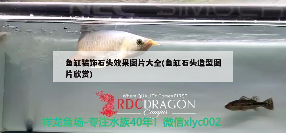 魚缸裝飾石頭效果圖片大全(魚缸石頭造型圖片欣賞) 金三間魚