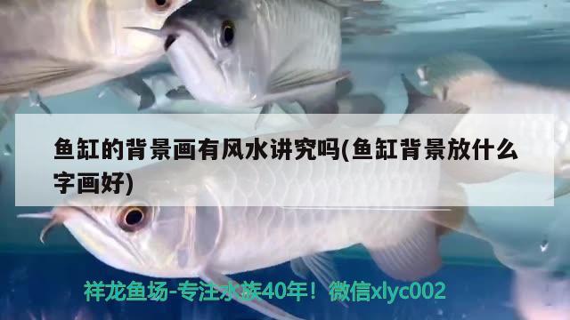 魚缸的背景畫有風水講究嗎(魚缸背景放什么字畫好) 魚缸風水