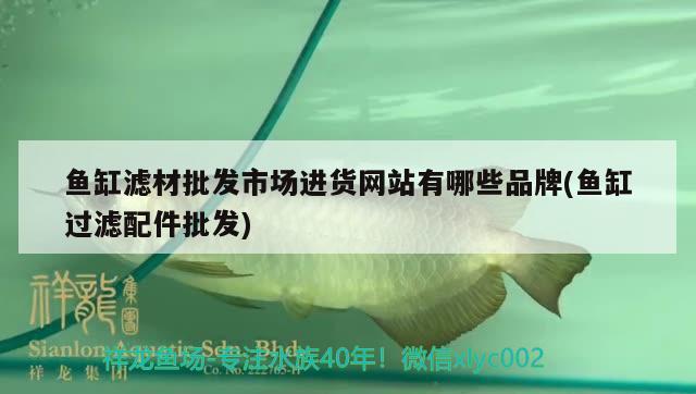 魚缸濾材批發(fā)市場進(jìn)貨網(wǎng)站有哪些品牌(魚缸過濾配件批發(fā)) 巴西亞魚