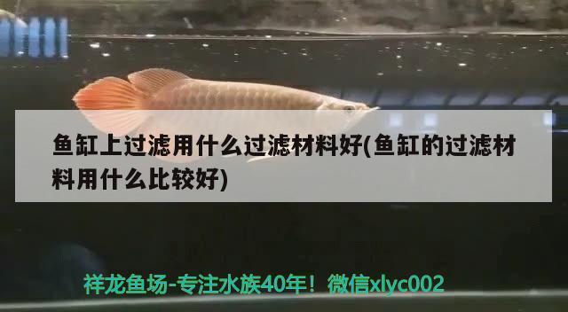 魚缸上過濾用什么過濾材料好(魚缸的過濾材料用什么比較好)