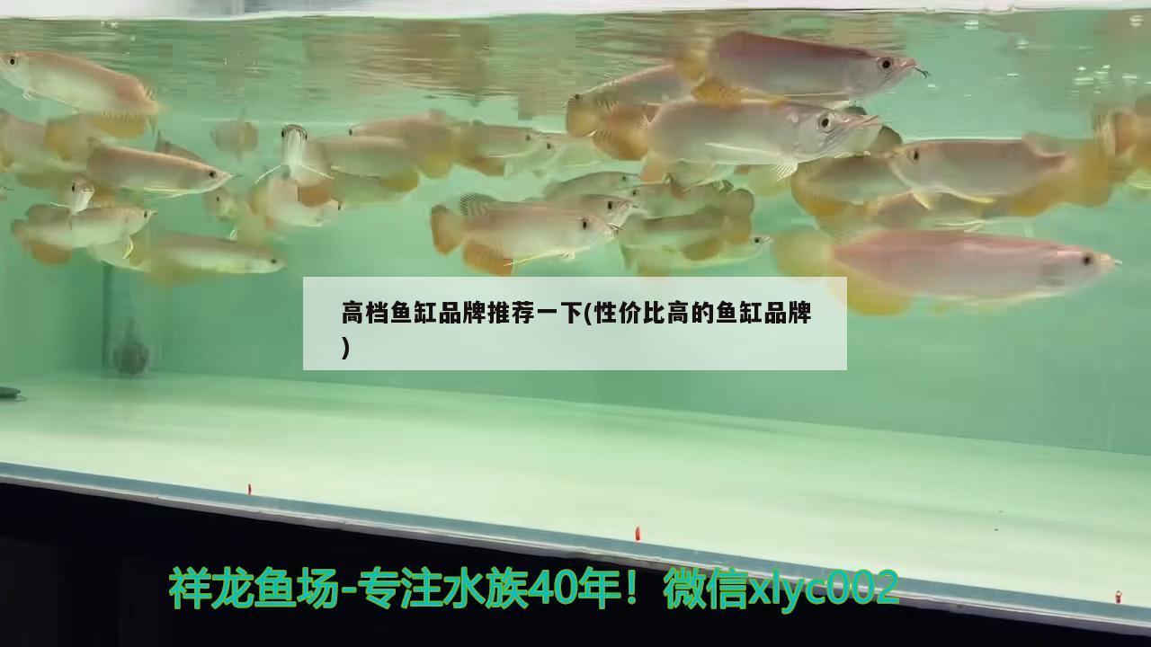 揭陽金龍魚總代理電話多少號（今天早上突然收到x米的短信，說我沒還錢，）