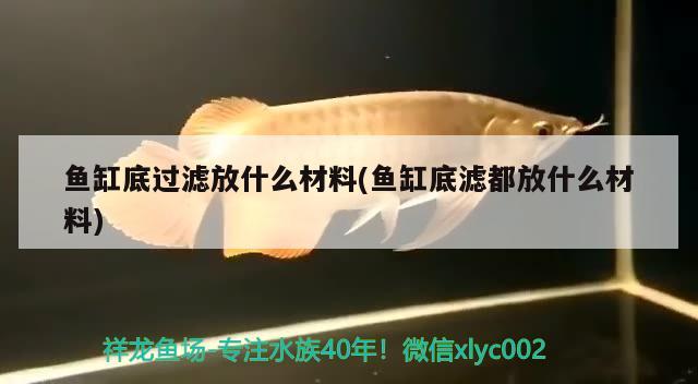 魚(yú)缸底過(guò)濾放什么材料(魚(yú)缸底濾都放什么材料) 杰西卡恐龍魚(yú)