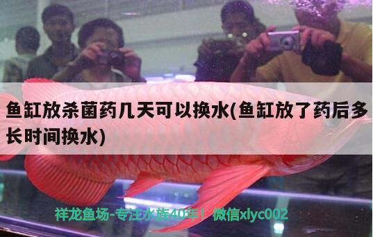 魚缸放殺菌藥幾天可以換水(魚缸放了藥后多長時(shí)間換水) 水族用品