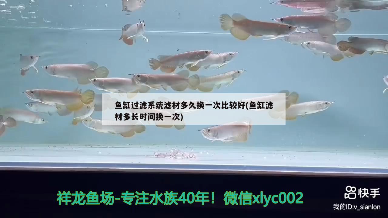 吃浮萍的觀賞魚有哪些好處與壞處：吃浮萍的觀賞魚有哪些?