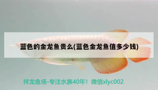 魚缸無法移動怎么換背景，疫情特殊時(shí)期不能出門，你們在家都做了哪些沙雕的事