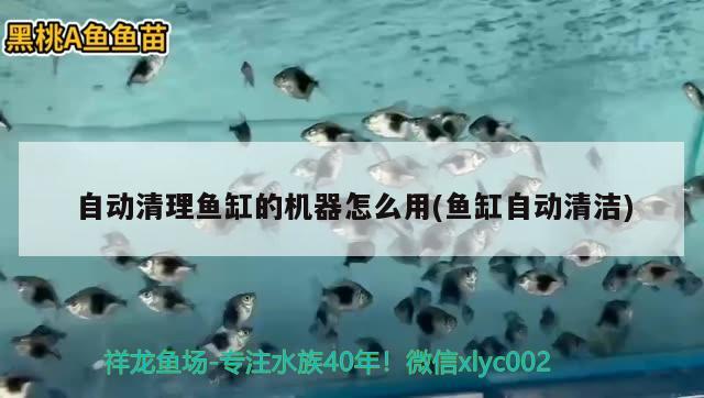 自動清理魚缸的機器怎么用(魚缸自動清潔)