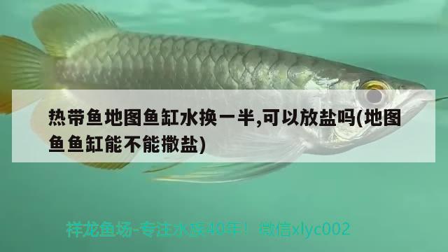 熱帶魚地圖魚缸水換一半,可以放鹽嗎(地圖魚魚缸能不能撒鹽)