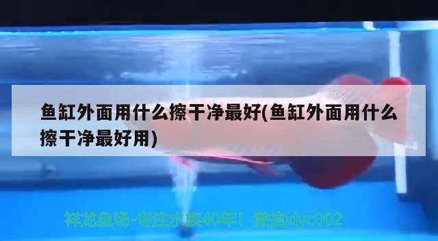 水族魚缸加熱棒(水族魚缸加熱棒優(yōu)點(diǎn)) 狗仔招財(cái)貓魚