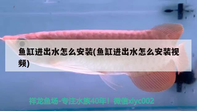 魚缸進出水怎么安裝(魚缸進出水怎么安裝視頻)