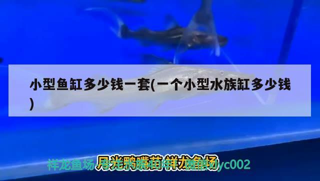 小型魚缸多少錢一套(一個小型水族缸多少錢) 水溫計