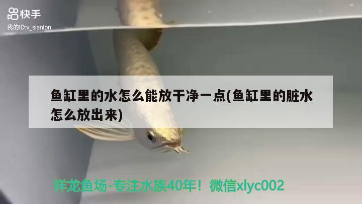 魚缸里的水怎么能放干凈一點(diǎn)(魚缸里的臟水怎么放出來)